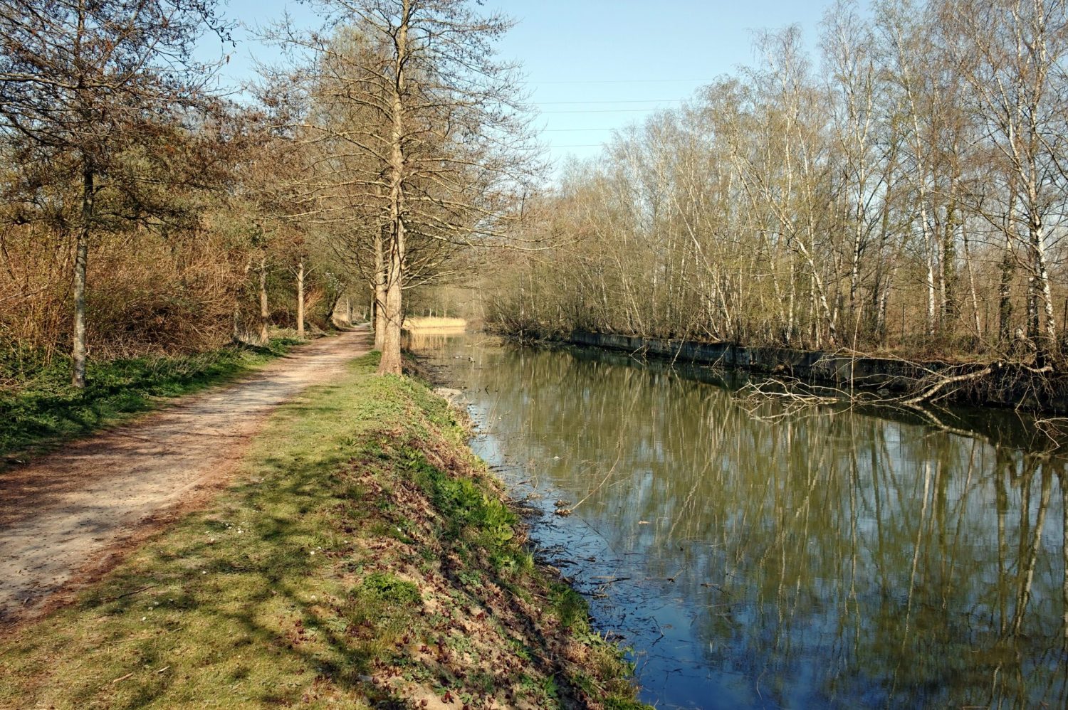 Chemin_du_halage_zone_du_bras_mort_à_Wasquehal
