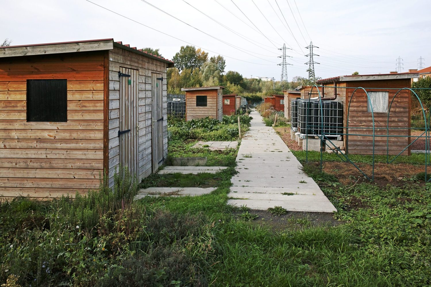 Wasquehal_potager_du_haut_vinage